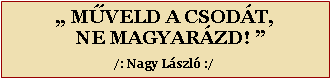 Sz�vegdoboz: � M�VELD A CSOD�T,  NE MAGYAR�ZD! �/: Nagy L�szl� :/